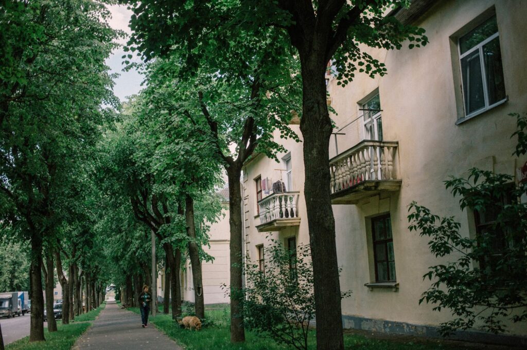 IMG 3254 1024x682